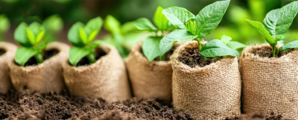 eco-friendly garden accessories in a lush green backyard